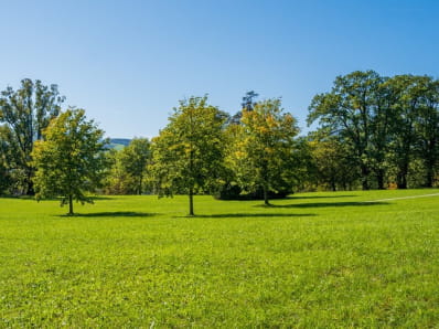 Terrain constructible de 1550 m²